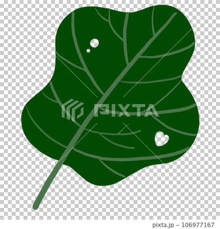 Plants and leaf. Plants and leaf. 106977167