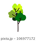 Plants and leaf. 106977172