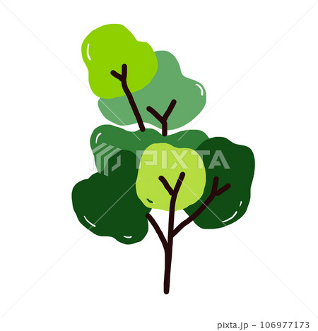 Plants and leaf. Plants and leaf. 106977173