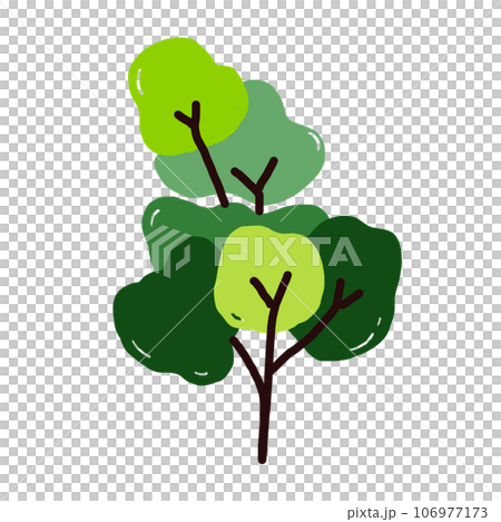 Plants and leaf. Plants and leaf. 106977173