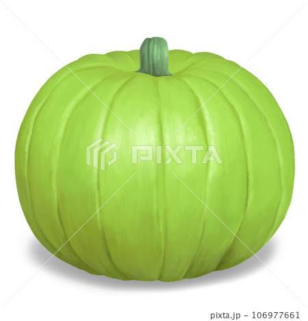 シンプルなかぼちゃ イラスト 106977661