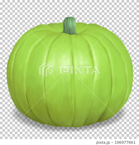 シンプルなかぼちゃ イラスト 106977661