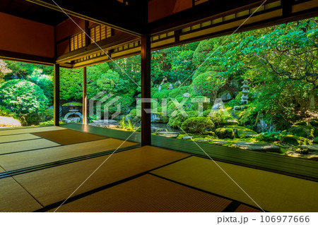 長野県　下諏訪　岩波家庭園 106977666