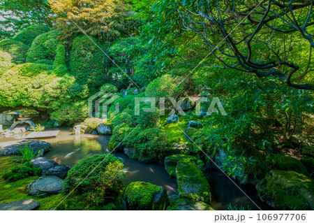 長野県　下諏訪　岩波家庭園 106977706