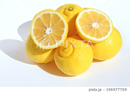 柑橘類（はるか） 106977709