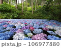紫陽花のある風景 106977880