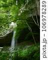 新緑の棚下不動の滝 106978289