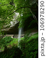 新緑の棚下不動の滝 106978290