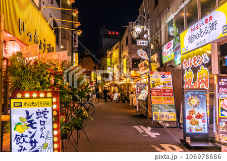 日本の東京都市景観 赤羽駅前の飲み屋街などを望む 日本の東京都市景観 赤羽駅前の飲み屋街などを望む 106978686