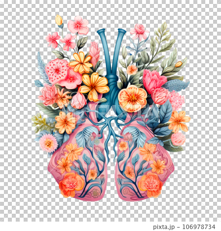 Watercolor Human Lungs Anatomy filled with flowers Pastel Color Clipart isolated on Transparent Background. Watercolor Human Lungs Anatomy filled with flowers Pastel Color Clipart isolated on Transparent Background. 106978734