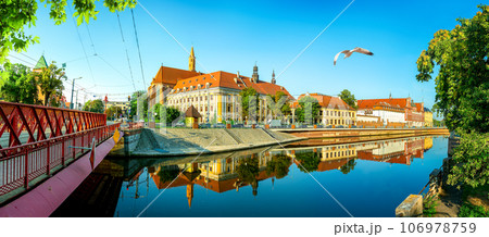 Sand Bridge in Poland 106978759