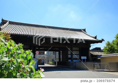 京都　国宝　三十三間堂　南大門 106978874