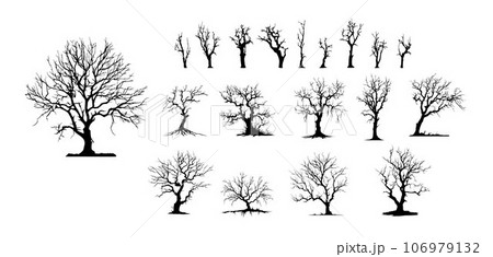Dead Trees, Naked trees silhouettes. Winter trees isolated on white background Dead Trees, Naked trees silhouettes. Winter trees isolated on white background 106979132