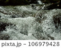 渓流を流れる水のうねり 106979428