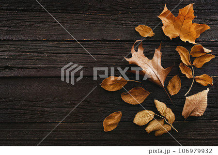 Autumn yellow, orange and red leaves, fall leaf frame on rustic wooden background Autumn yellow, orange and red leaves, fall leaf frame on rustic wooden background 106979932
