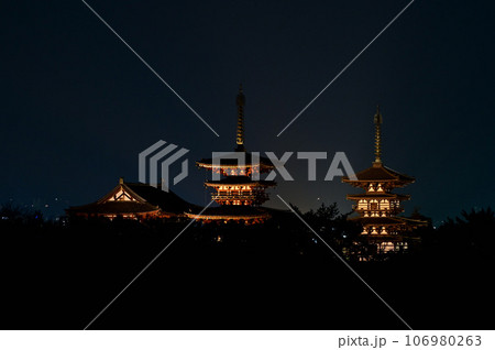 勝間田池の夜景、薬師寺のライトアップ 勝間田池の夜景、薬師寺のライトアップ 106980263
