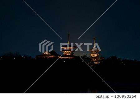 勝間田池の夜景、薬師寺のライトアップ 勝間田池の夜景、薬師寺のライトアップ 106980264