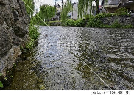 夏の白川の流れ/京都 夏の白川の流れ/京都 106980390