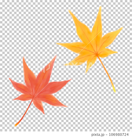 楓葉手繪水彩插圖 106980724