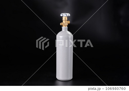 A CO2 tank for an aquarium with plants. 106980760