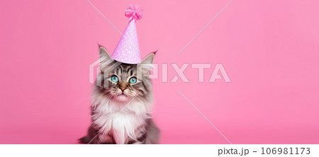 Cute Cat  with cone hat and necklace bowtie on isolated background.Happy birthday concept.created with Generative AI technology 106981173