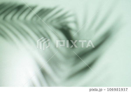 Green background with leaves shadows Green background with leaves shadows 106981937