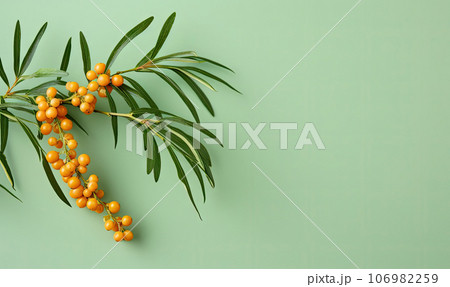 Fresh sea buckthorn berries on a sprig. Created by AI 106982259