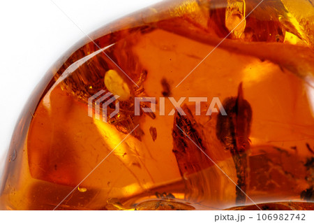 Macro Amber mineral stone with spider on white background Macro Amber mineral stone with spider on white background 106982742