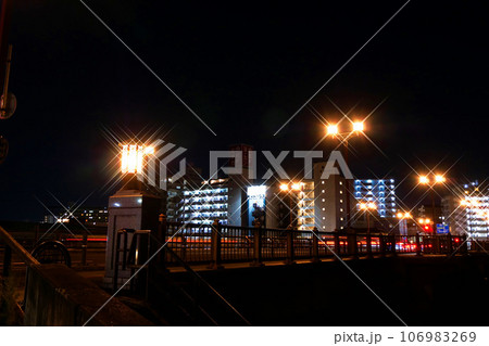 広瀬橋の夜景(宮城県仙台市) 広瀬橋の夜景(宮城県仙台市) 106983269