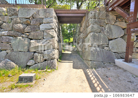 青空と福岡城の風景 本丸石垣と櫓 青空と福岡城の風景 本丸石垣と櫓 106983647