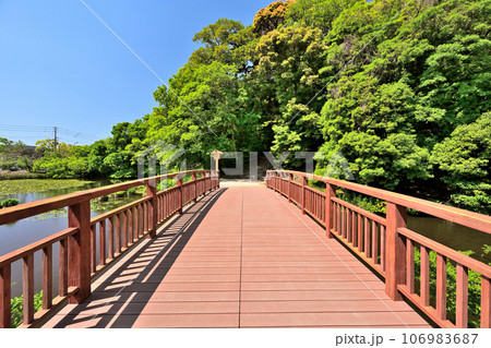 青空と福岡城の風景 石垣と櫓 青空と福岡城の風景 石垣と櫓 106983687