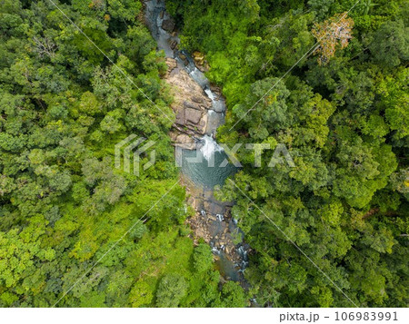 Asian jungle and Khlong Chao waterfall on Koh Kood island. Thailand Asian jungle and Khlong Chao waterfall on Koh Kood island. Thailand 106983991