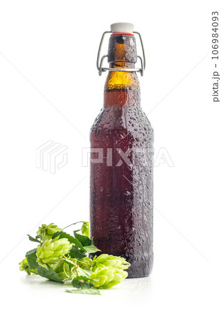 Beer bottle and green hops plant isolated on white background. 106984093