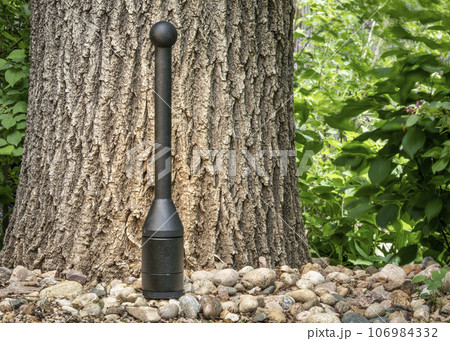 adjustable weight steel club in a backyard against an oak tree, functional fitness concept 106984332