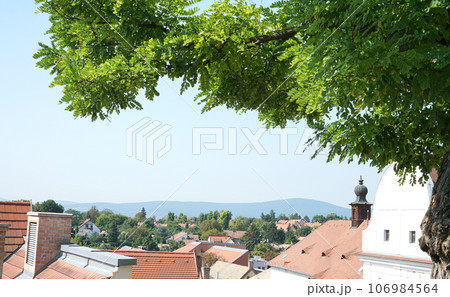 Aerial view of the roofs of Szentendre town in Hungary 106984564