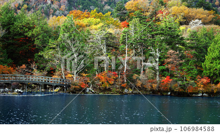 日本の美しい紅葉の風景 絵画の様な日光湯ノ湖の風景 日本の美しい紅葉の風景 絵画の様な日光湯ノ湖の風景 106984588