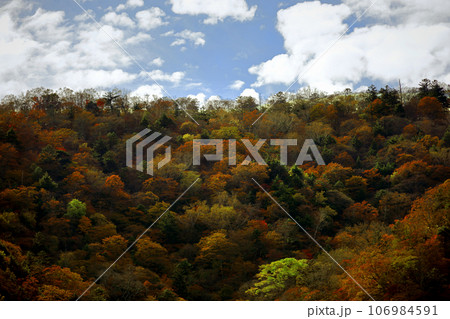 日光の旅 絵画の様な山の紅葉の風景 日光の旅 絵画の様な山の紅葉の風景 106984591