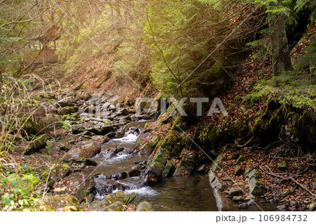 Beautiful autumn landscape in Carpathian Mountains. Mountain river in the forest with stones. Tatariv, Ivano-Frankivsk Oblast. Road to Huk waterfall. Selective focus 106984732