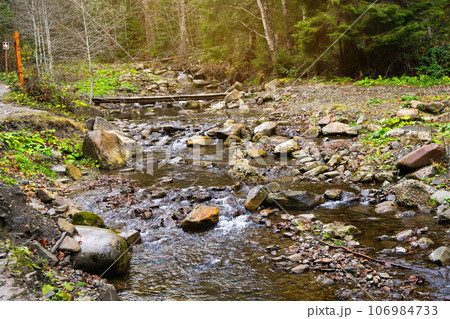 Beautiful autumn landscape in Carpathian Mountains. Mountain river in the forest with stones. Tatariv, Ivano-Frankivsk Oblast. Road to Huk waterfall. Selective focus 106984733