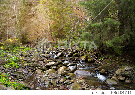 Beautiful autumn landscape in Carpathian Mountains. Mountain river in the forest with stones. Tatariv, Ivano-Frankivsk Oblast. Road to Huk waterfall. Selective focus 106984734