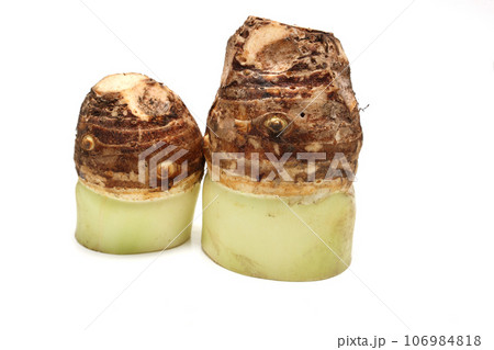 白背景の里芋の親芋 白背景の里芋の親芋 106984818