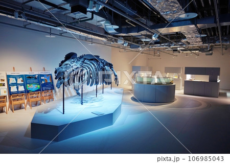 moyuk SAPPORO内にある水族館『AOAO SAPPORO(アオアオ サッポロ)』 moyuk SAPPORO内にある水族館『AOAO SAPPORO(アオアオ サッポロ)』 106985043