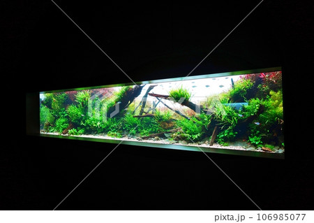 moyuk SAPPORO内にある水族館『AOAO SAPPORO（アオアオ サッポロ）』 106985077