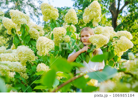 Cute teenage girl in flowering hydrangea bushes. Cute teenage girl in flowering hydrangea bushes. 106985184