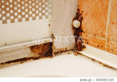Mold at the joints in the shower. Mold at the joints in the shower. 106985185