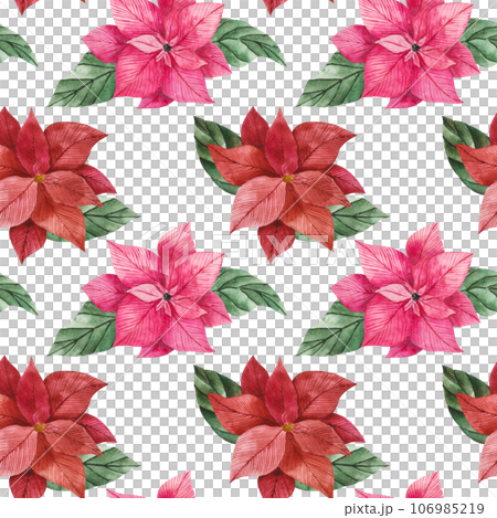 Watercolor seamless pattern of poinsettia flowers in red and pink with green vibrant leaves. Isolated clipart for Christmas design, prints, packaging, textiles. Festive flower for compositions 106985219