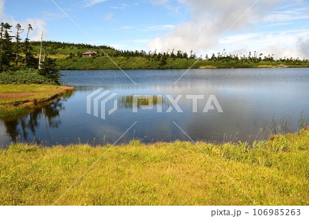 八幡平の植物  106985263