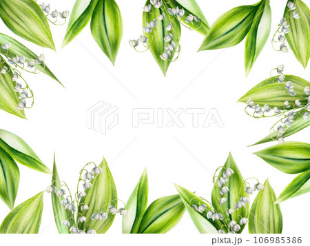 Watercolor set of bouquets of lilies of the valley flowers isolated on white background. Spring hand painted illustration. For designers, wedding, decoration, postcards, wrapping paper, scrapbooking, Watercolor set of bouquets of lilies of the valley flowers isolated on white background. Spring hand painted illustration. For designers, wedding, decoration, postcards, wrapping paper, scrapbooking, 106985386