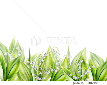 Watercolor set of bouquets of lilies of the valley flowers isolated on white background. Spring hand painted illustration. For designers, wedding, decoration, postcards, wrapping paper, scrapbooking, Watercolor set of bouquets of lilies of the valley flowers isolated on white background. Spring hand painted illustration. For designers, wedding, decoration, postcards, wrapping paper, scrapbooking, 106985387