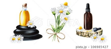 Watercolor white daisy flowers, bottle of serum, cream with pipette on a wooden saw cut and stones isolated on white background. Beauty products and botany elements, cosmetology and medicine. For 106985427